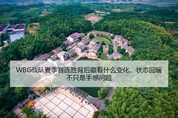 WBG战队夏季赛连胜背后藏着什么变化，状态回暖不只是手感问题 | WEN DING